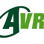 434997283_1250546029237471_6552959867990301485_n